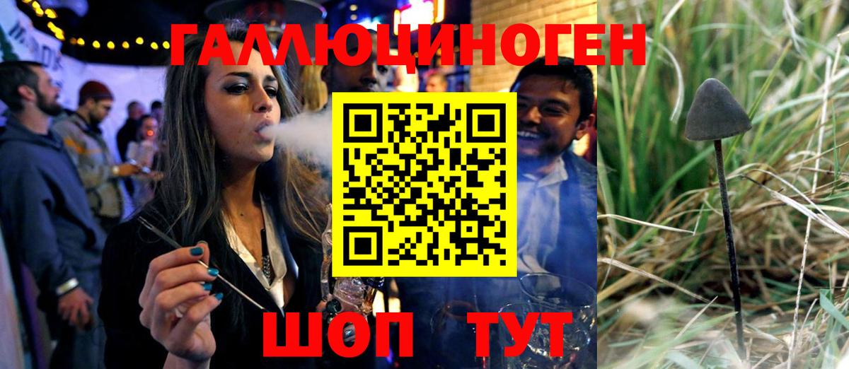 Псилоцибиновые грибы мухоморы  купить закладку  Урай  Вход с VPN 